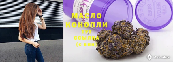 дмт Алексин