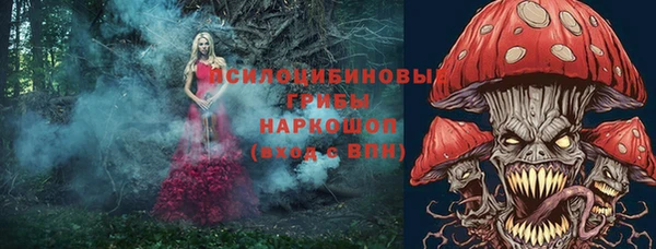 a pvp Алзамай