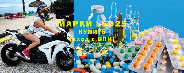 a pvp Алзамай