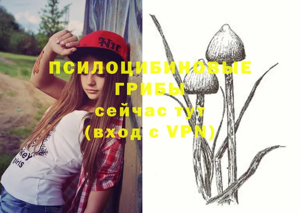 дмт Алексин