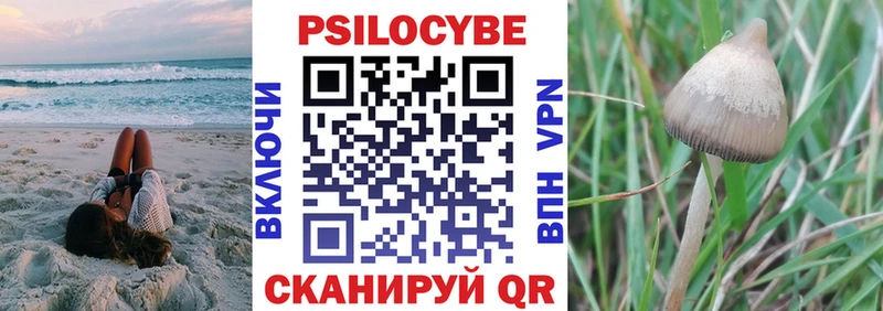 Псилоцибиновые грибы Psilocybe  Лаишево 